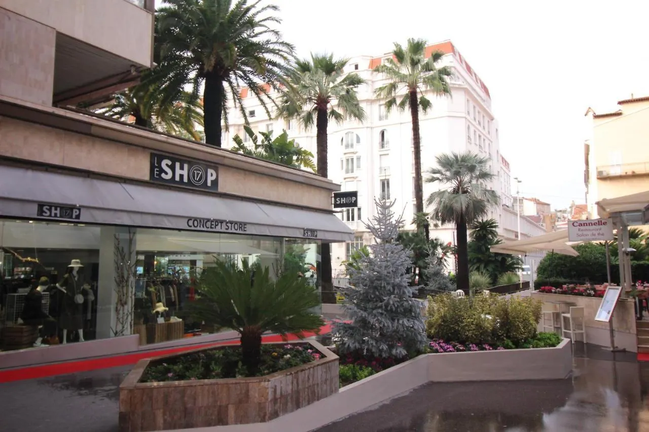Cannes Conseil Immo, Grand Studio Terrasse Gray D'Albion Area -Four- Apartment
