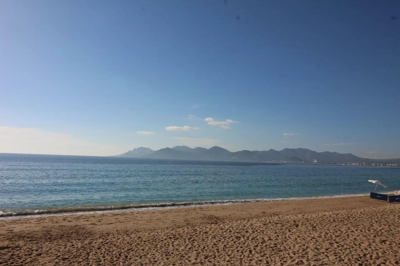 Cannes Conseil Immo, Grand Studio Terrasse Gray D'Albion Area -Four- Apartment